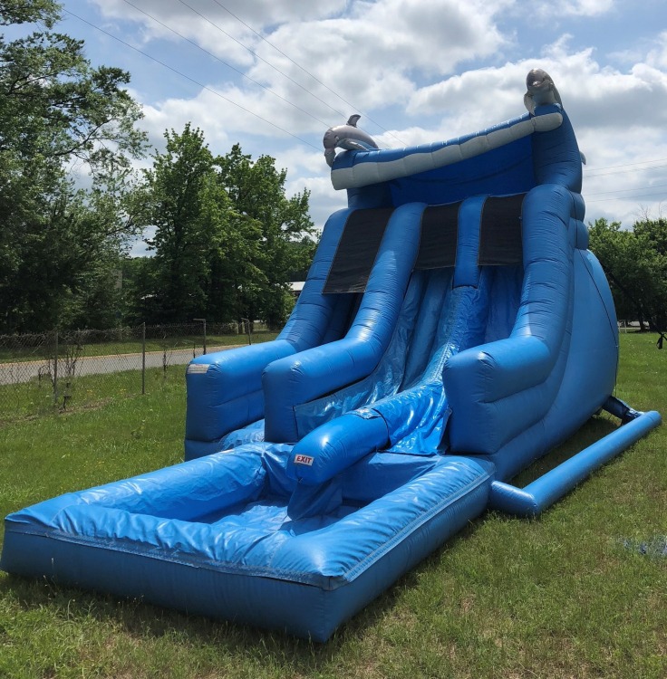 Dolphin II Water Slide