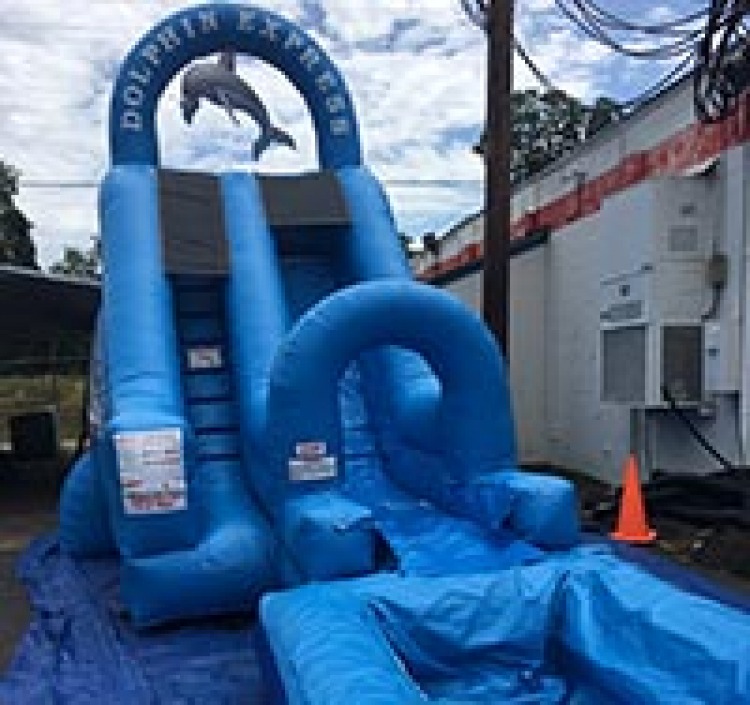 Dolphin Water Slide